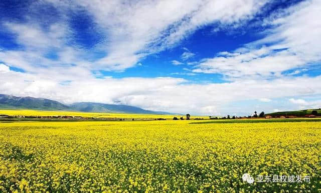 2019亚东首届国际边贸旅游文化节，你不容错过的精彩玩点