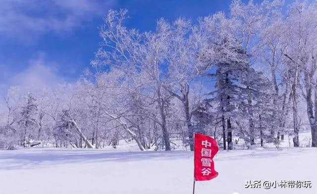 雪谷雪乡最强防坑指南，快收藏起来吧 还有雪乡雪谷的景点攻略