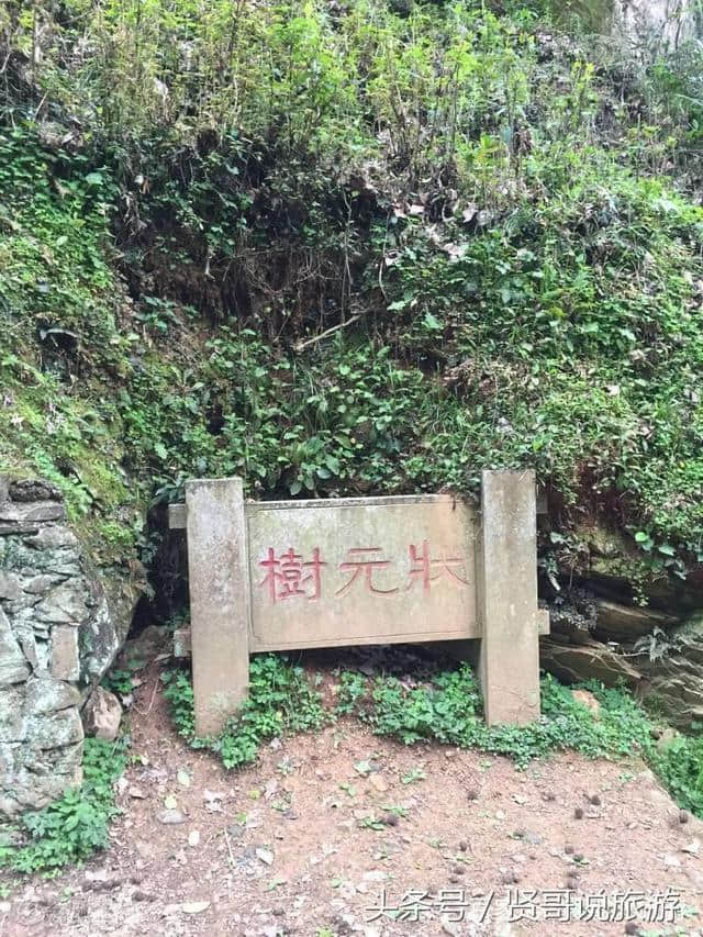 韶关必去旅游景点大全