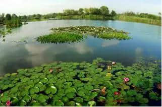 大合肥“滨湖环巢湖旅游18美景”真是美不胜收！