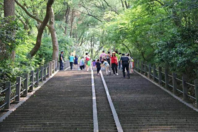 上海夏日最美好的旅行色彩指南