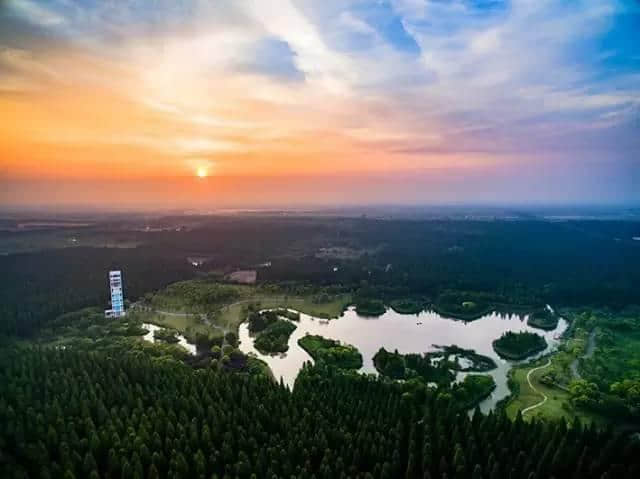 上海夏日最美好的旅行色彩指南