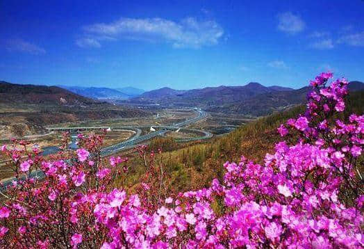 4月27日，中国•和龙第十一届长白山金达莱国际文化旅游节盛装启幕