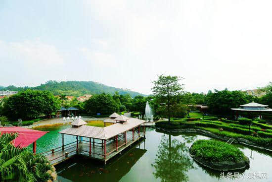 广东韶关南华寺、曹溪温泉旅游度假区、丹霞山两日游