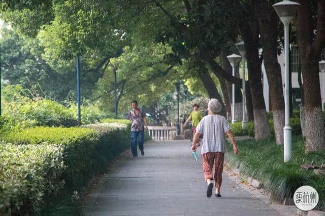 这几条杭州觅食公交路线，只要2元，就能寻遍老底子美食