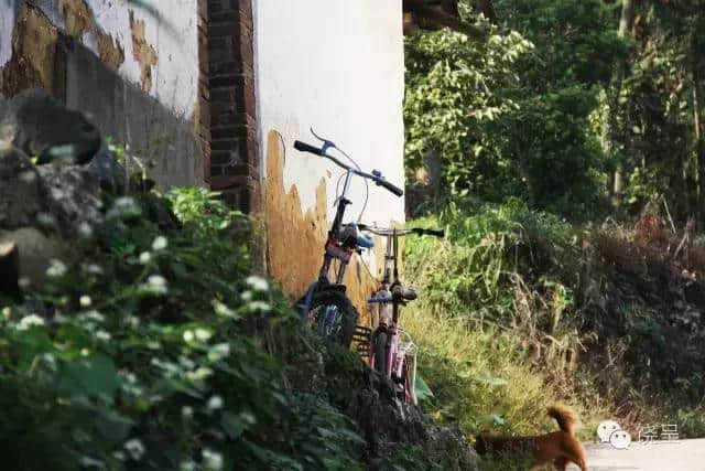 重走辛弃疾古道｜千年古刹—上饶县铁山乡西岩寺