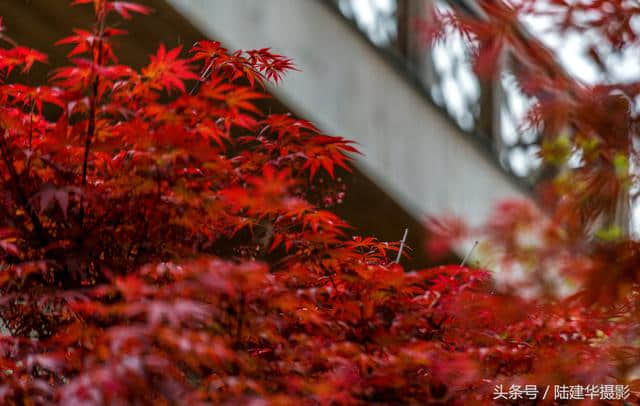 游东方盐湖城，这个春季过得不一样