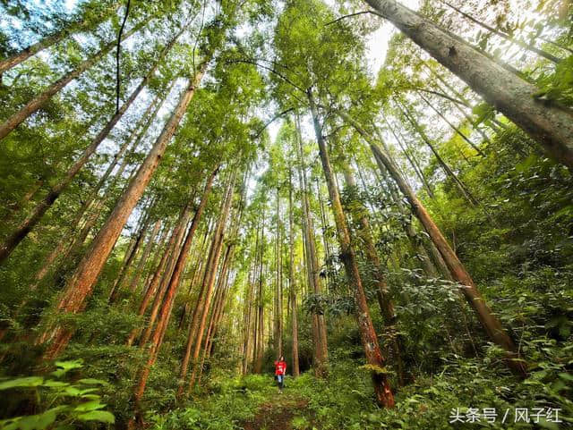 上海和杭州的后花园，千岛湖2天1夜度假，附交通、住宿、玩法攻略