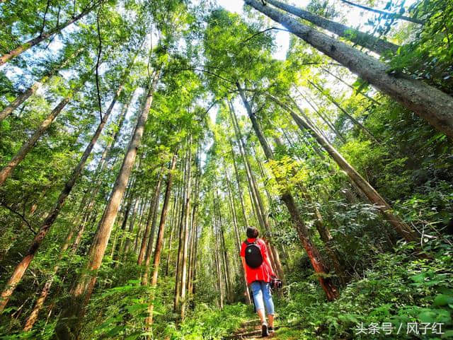 上海和杭州的后花园，千岛湖2天1夜度假，附交通、住宿、玩法攻略