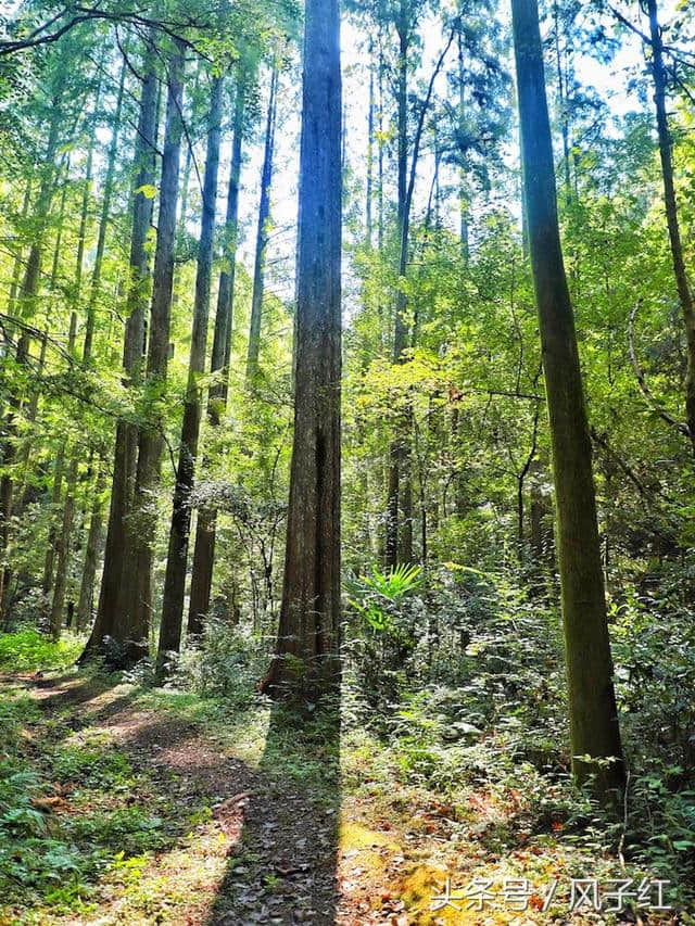 上海和杭州的后花园，千岛湖2天1夜度假，附交通、住宿、玩法攻略