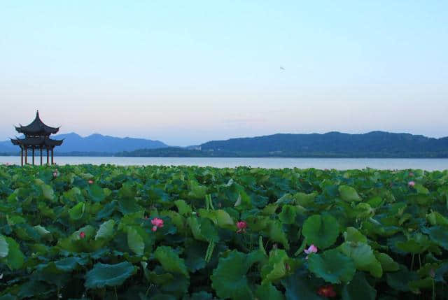 杭州旅游景点排名前十 西湖必去，这些你都听说过吗