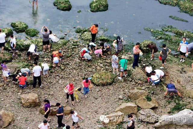 牟平史上最全旅游攻略，妥妥地收藏好，不用谢！