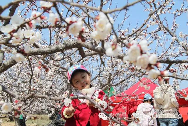 牟平史上最全旅游攻略，妥妥地收藏好，不用谢！