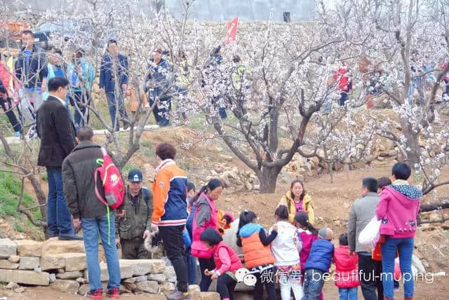 牟平史上最全旅游攻略，妥妥地收藏好，不用谢！