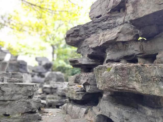 城河入胜处，更在西园中