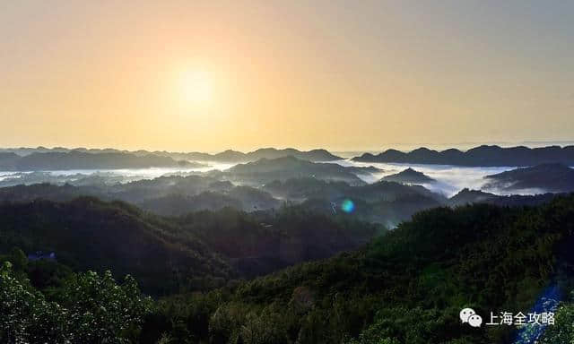 清明出游全攻略，爬山、赏花、逛公园，一条微信全解决！