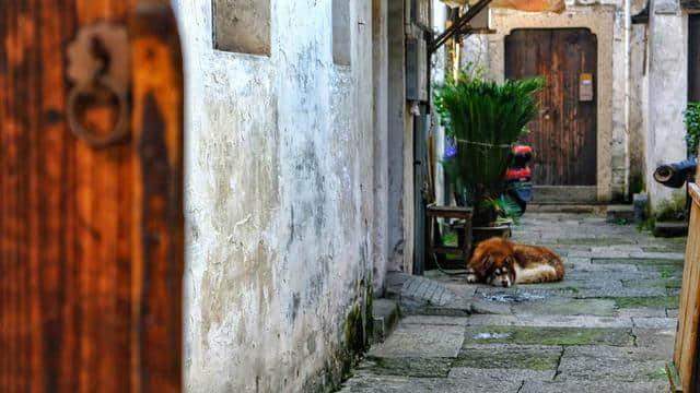 绍兴旅游就要去老城区的这些地方 最是原汁原味的水乡风貌