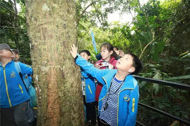 北京研学旅行团走进海南呀诺达雨林文化旅游区