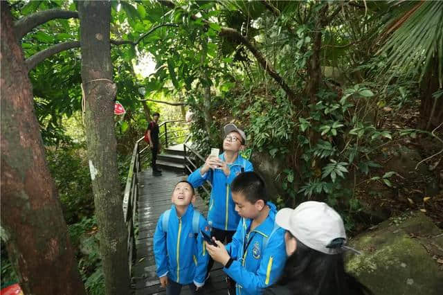 北京研学旅行团走进海南呀诺达雨林文化旅游区