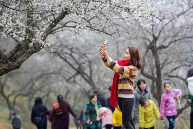 这里，是花开满城的韶关！