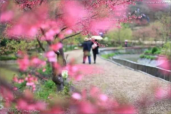 这里，是花开满城的韶关！