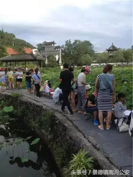 婺源拉开暑期旅游序幕，各色团队成群而来！