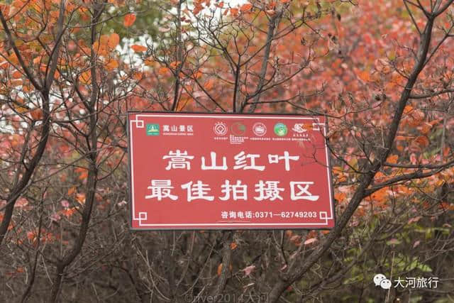 河南最美的红叶已经到来，你值得专程来一趟少林寺