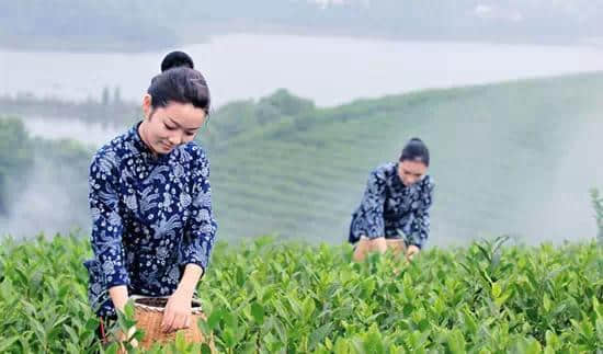 江浙沪小资宾馆推荐