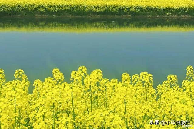 3月江浙沪周边赏花攻略，不负春光不负韶华，周末走起