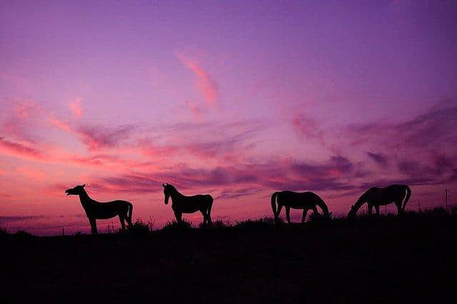 盘点15个景美人少的旅行地，拒绝“踩点式”旅游，附实用贴士