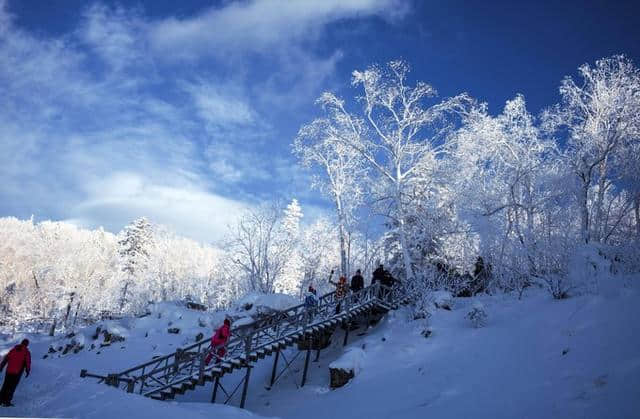 东北妞儿教你玩转中国雪乡，必到景点+娱乐项目