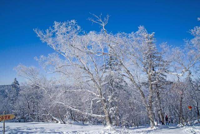 东北妞儿教你玩转中国雪乡，必到景点+娱乐项目