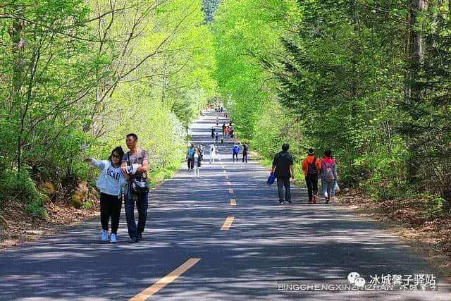 雪乡的夏天什么样你知道吗？