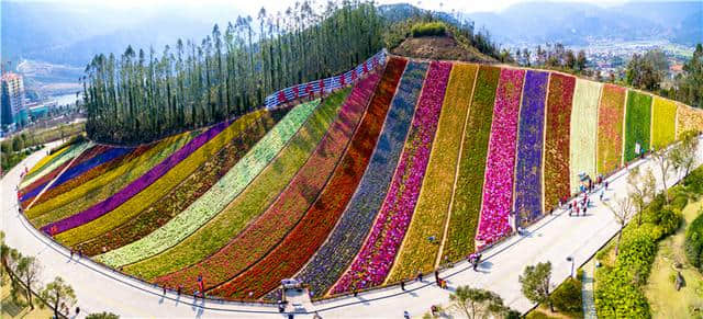 （票豆豆旅游）长泰十里蓝山休闲度假景区