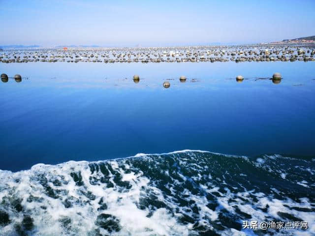 2019年暑假带孩子去哈仙岛，这篇旅游攻略一定要收藏