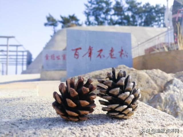 2019年暑假带孩子去哈仙岛，这篇旅游攻略一定要收藏