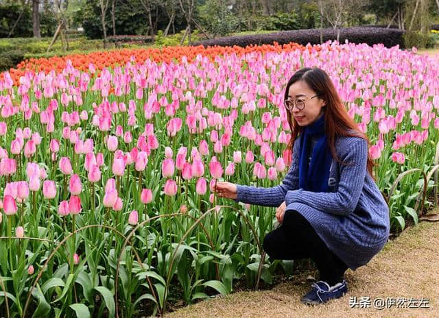 【2019】游走四川4·郁金香盛开的长寿湖美如仙境