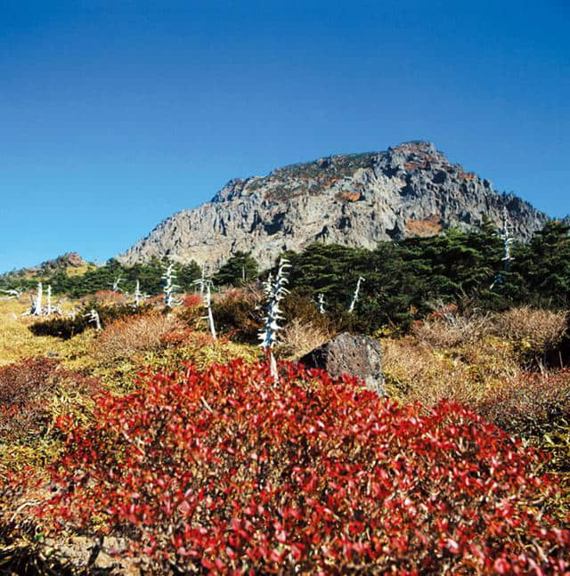 韩国济州岛旅游攻略