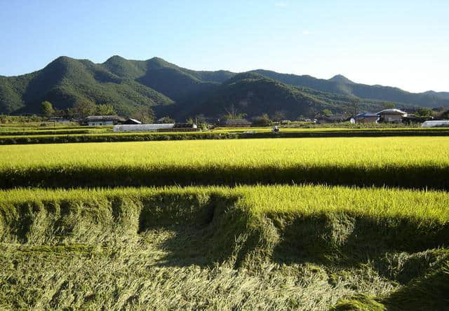 韩国济州岛旅游攻略