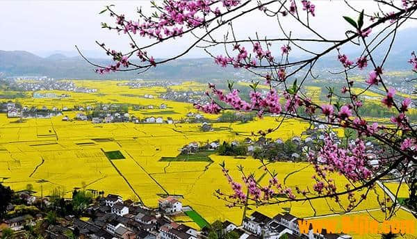 汉中观油菜花海旅游攻略