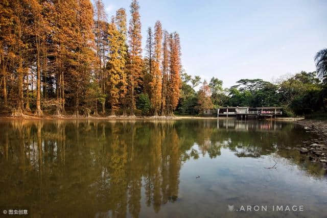 国内旅游：广州“华南植物园”——植物世界的天地