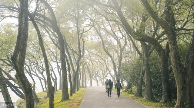 国内旅游：广州“华南植物园”——植物世界的天地