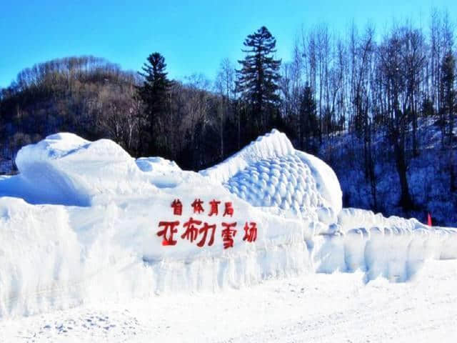 金牌线路指南-带你玩转哈尔滨、亚布力、雪乡5天攻略