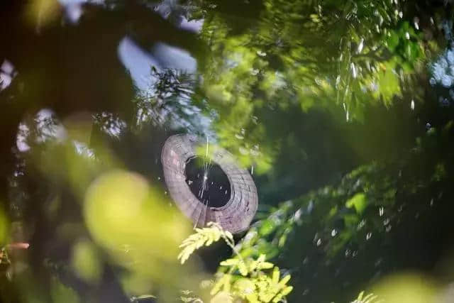 探秘呀诺达，热带雨林原来是这个样子啊