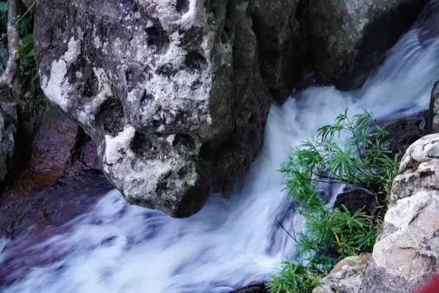 探秘呀诺达，热带雨林原来是这个样子啊