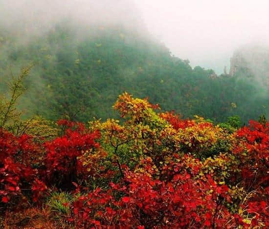 看三峡红叶，重庆三峡旅游攻略