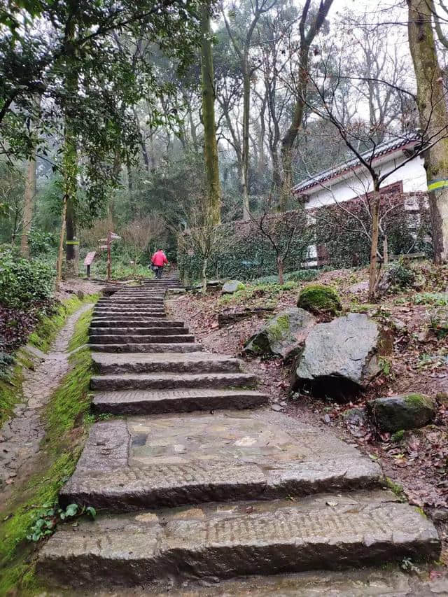 长沙周边爬山清肺的好去处，除了岳麓山你还知道几个？