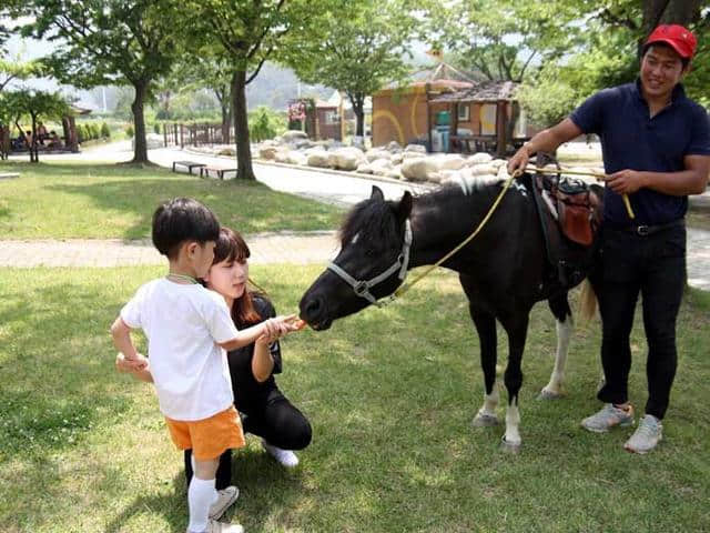 【韩国济州岛旅游】介绍8大特色手信 多尔哈鲁邦石头爷爷丶干鲷鱼