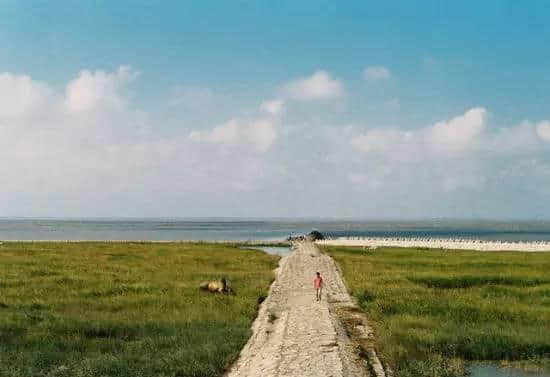 上海旅游必去还免费的景点！