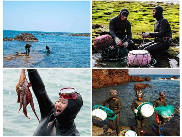 体验韩国不一般的大海风情 釜山、济州5日游线路